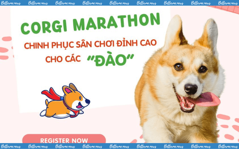img of Lễ Hội VietNam Global Pet Expo 2024 Mở Đơn Tuyển Tình Nguyện Viên
